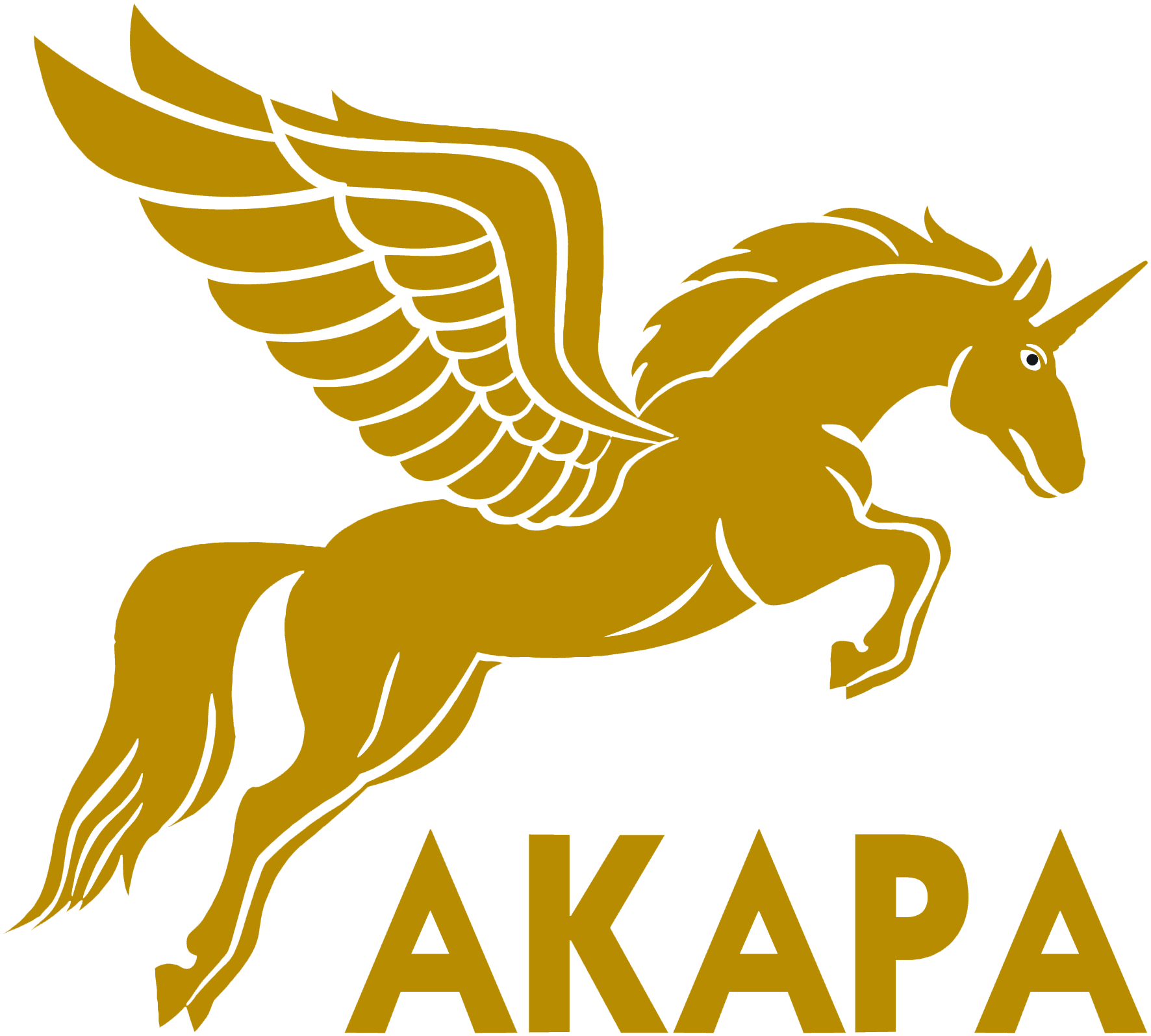 akapa.com.vn